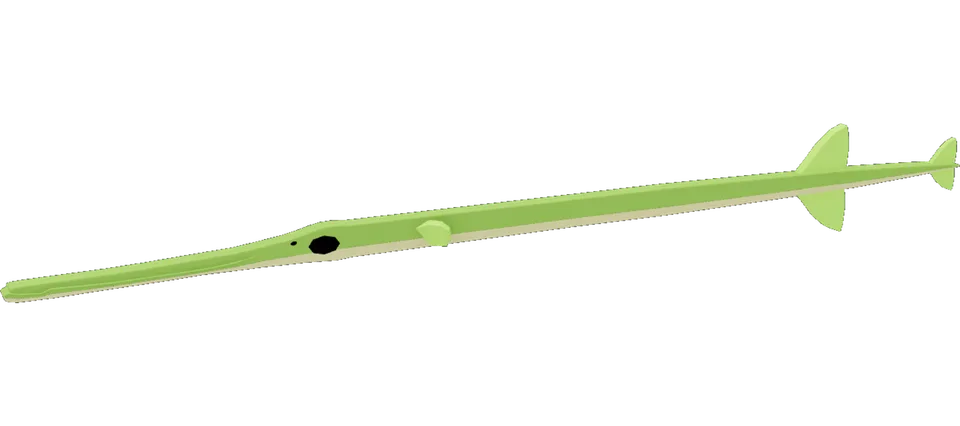 Cornetfish