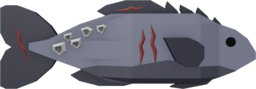Corsair Grouper