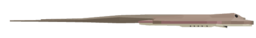 Dasyatis