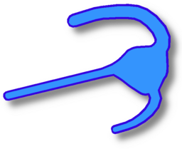 Dinoflagellates