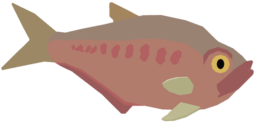 Diplomystus