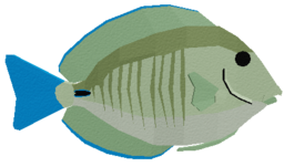 Doctorfish Tang