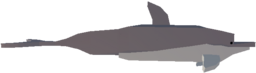 Dolphin