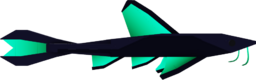 Dweller Catfish