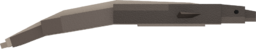 Eel