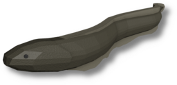 Electric Eel