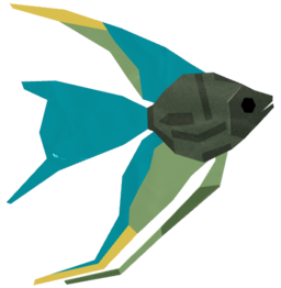 Emerald Angelfish