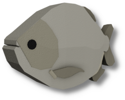Freshwater Pacu