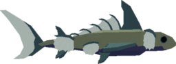 Frilled Shark