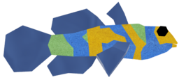 Gemscale Mandarinfish