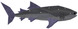 Gemstone Whale Shark