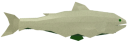 Ghoulfish