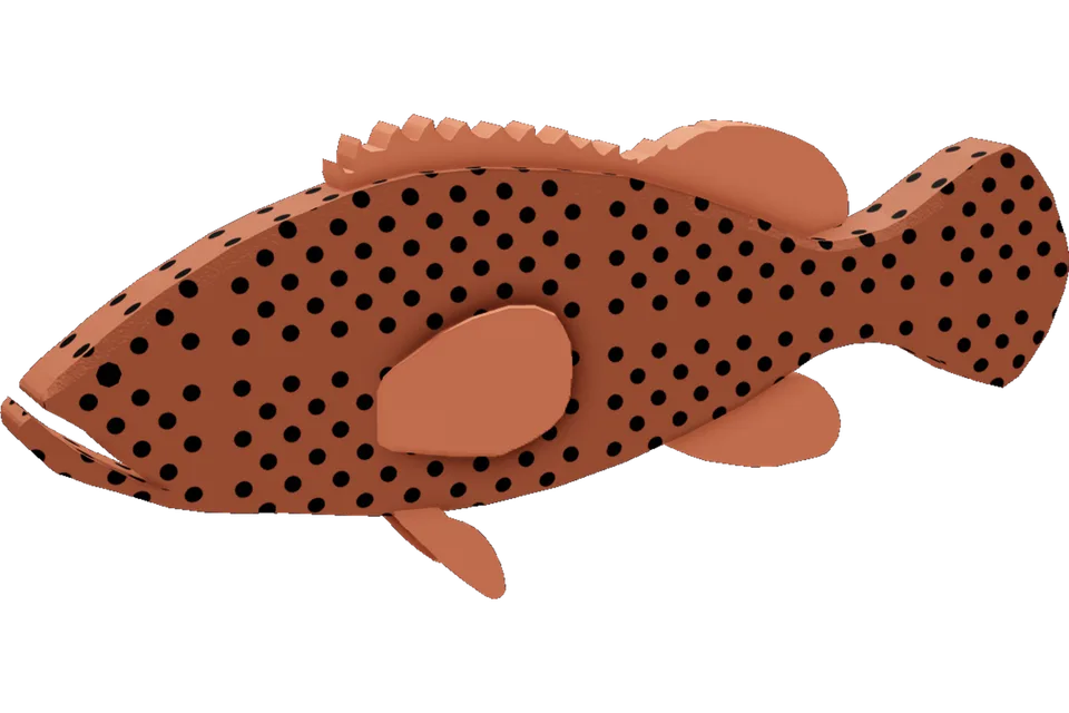 Giant Grouper