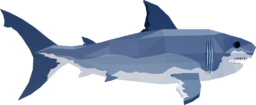Ginsu Shark