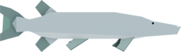 Glacier Pike