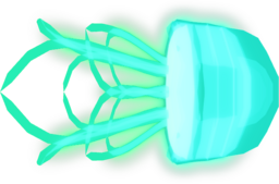 Globe Jellyfish