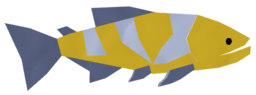 Golden Dorado