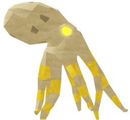 Goldfin Octopus