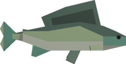 Grayling