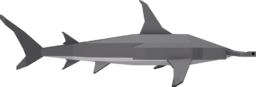 Great Hammerhead Shark