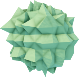 Green Sea Urchin