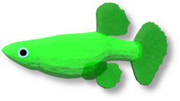 Gummy Guppy