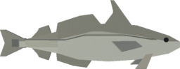 Haddock