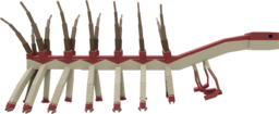 Hallucigenia