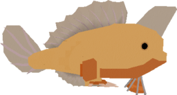 Handfish