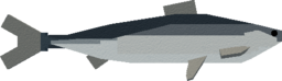 Herring