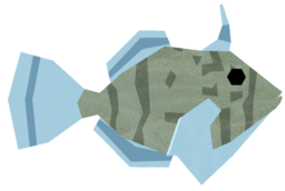Hidden Filefish