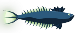 Hollow Gazer