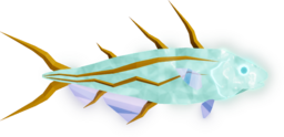 Hydra Haddock