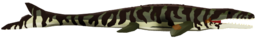 Jurassic Mosasaurus