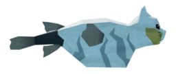 Kittyfish