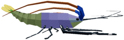 Lagoon Lobster