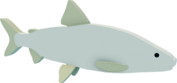 Lake Whitefish
