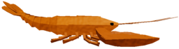 Langoustine