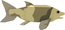 Lepidotes