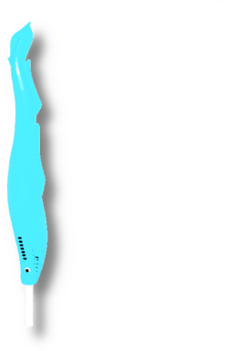 Lollipop Lamprey