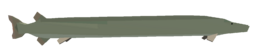 Long Pike
