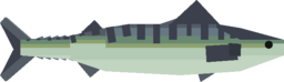 Mackerel