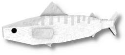 Marshmallow Mackerel