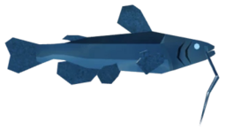 Moonridge Catfish