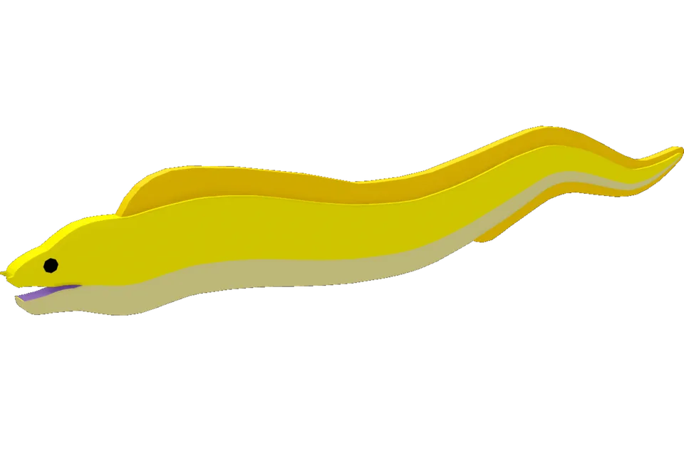 Moray Eel