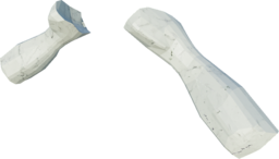 Mossjaw Scapula