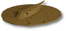 Motoro Stingray