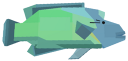 Napoleonfish