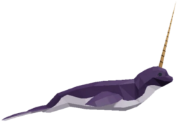 Narwhal