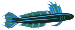 Oak Stripetail